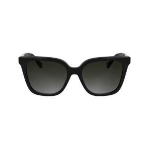 Black Longchamp Acetate Women Sunglasses | US-758QPIYVR