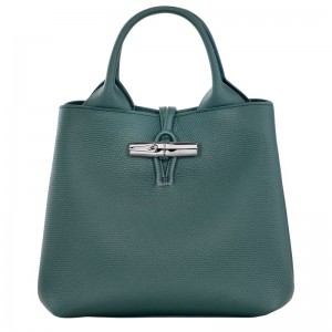 Blue Green Longchamp Le Roseau S Women Handbag | US-912IAVORD