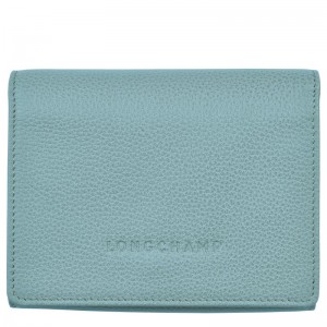 Blue Longchamp Le Foulonné Men Wallet | US-894VEGZOX
