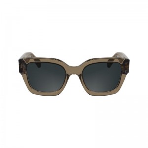 Brown Longchamp Acetate Women Sunglasses | US-162XKMOFT