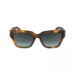 Brown Longchamp Fall-winter 2023 Collection Women Sunglasses | US-429TSZOWL