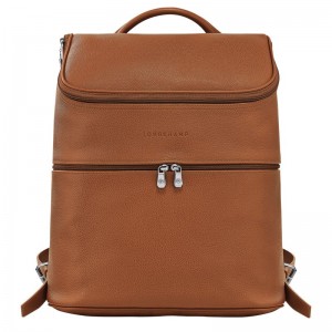 Brown Longchamp Le Foulonné Men Backpack | US-892JEKPGI