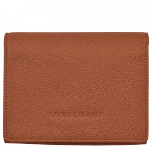 Brown Longchamp Le Foulonné Men Wallet | US-417JXZCTH