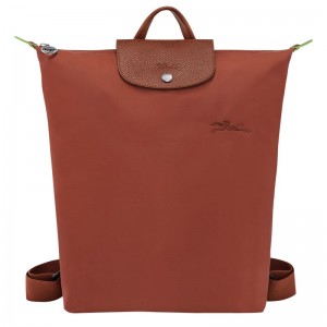 Brown Longchamp Le Pliage Green M Men Backpack | US-308DGTKVN