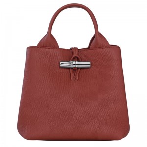 Brown Longchamp Le Roseau S Women Handbag | US-807KIEBAM