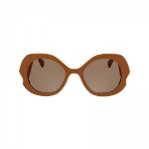 Brown Longchamp Plant Based Resin Women Sunglasses | US-379FGONJS