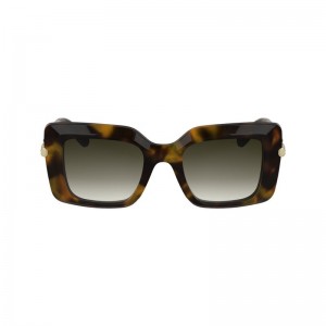 Brown / Green Longchamp Acetate Women Sunglasses | US-563MXILTA