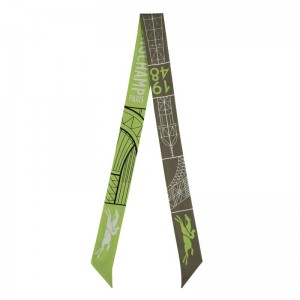 Olive / Multicolor Longchamp Eiffel Tower 1948 Women Headband | US-856DWJQPY