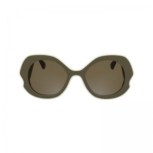 Olive / Multicolor Longchamp Plant Based Resin Women Sunglasses | US-435KXDSWI