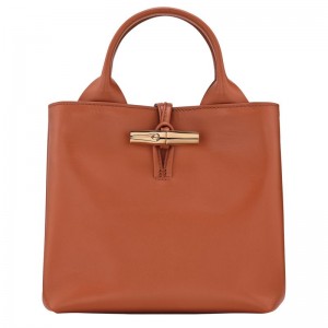 Orange Longchamp Le Roseau S Women Handbag | US-798ITVHYX
