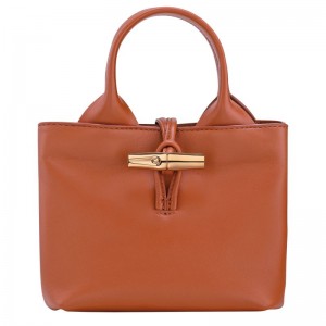 Orange Longchamp Le Roseau Xs Women Handbag | US-961FUARBN