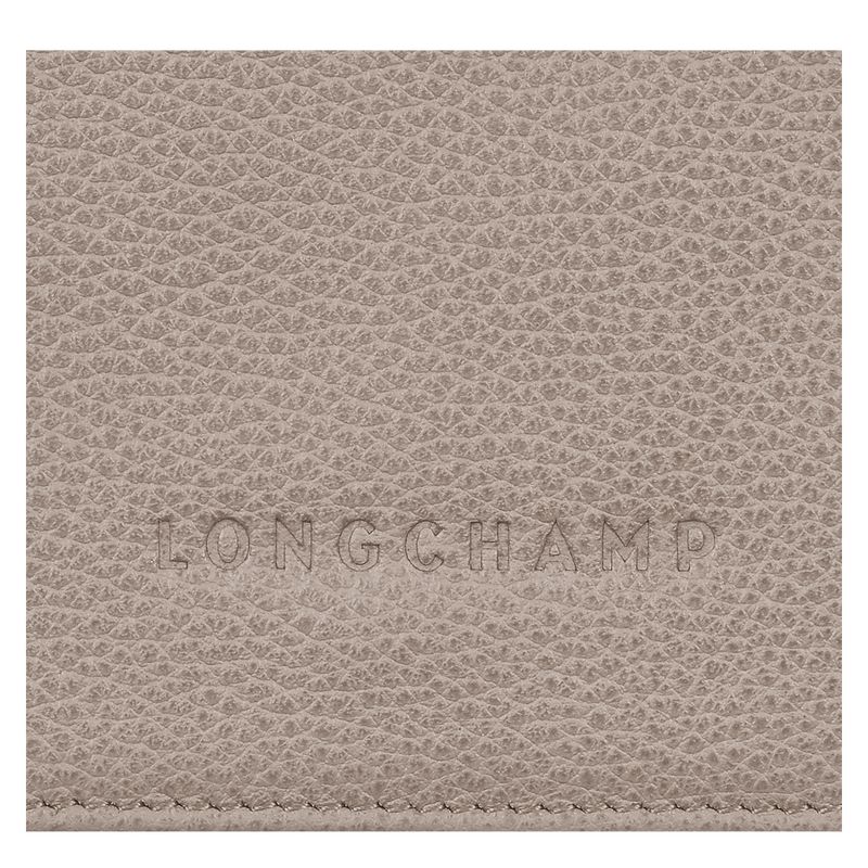 Beige Longchamp Le Foulonné Men Wallet | US-108VBCYJP