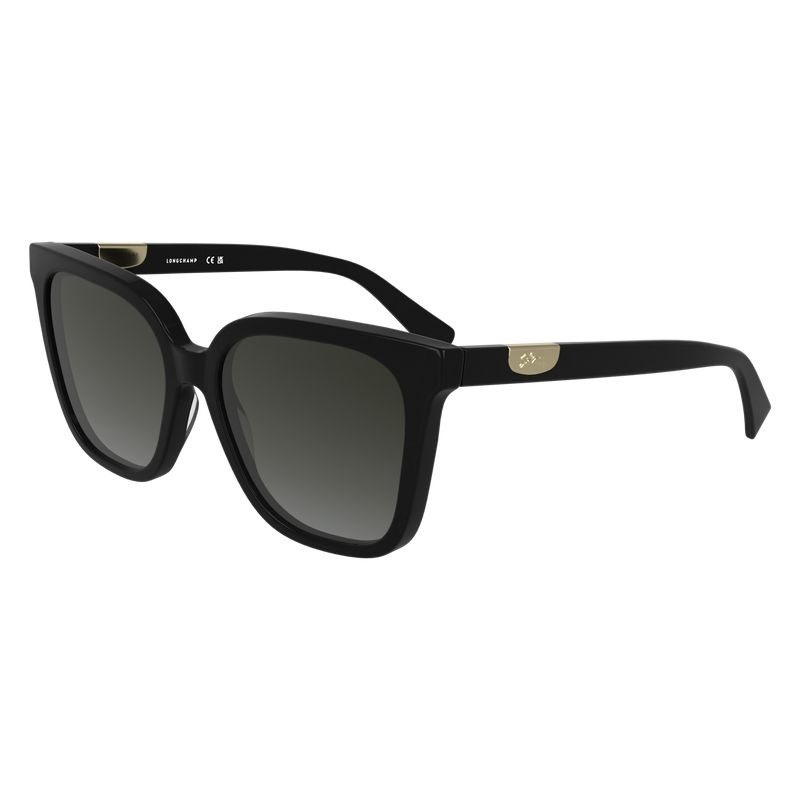 Black Longchamp Acetate Women Sunglasses | US-758QPIYVR