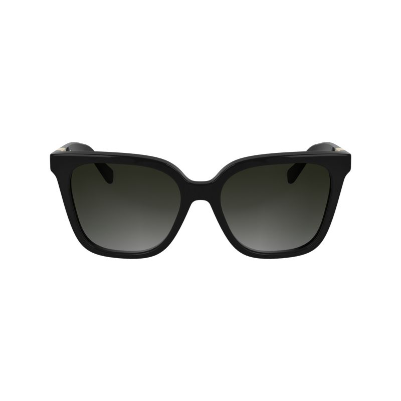 Black Longchamp Acetate Women Sunglasses | US-758QPIYVR