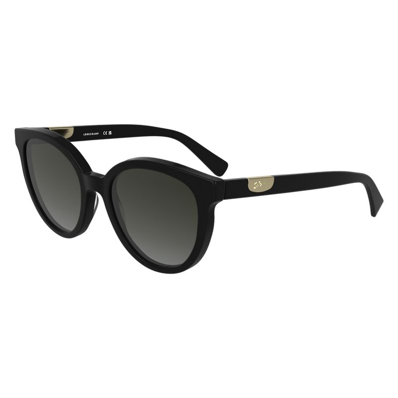 Black Longchamp Acetate Women Sunglasses | US-197FNYABU