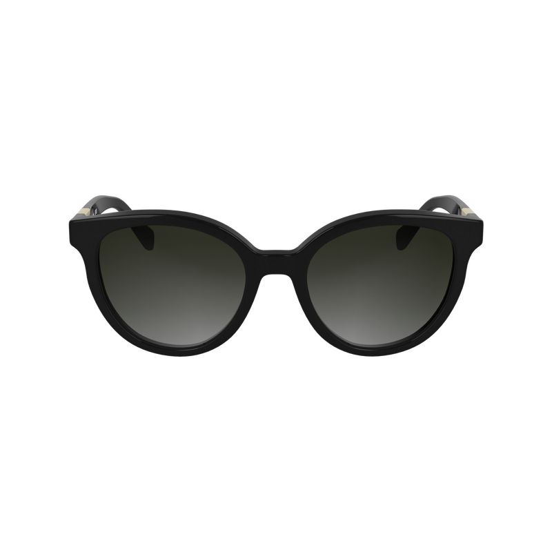 Black Longchamp Acetate Women Sunglasses | US-197FNYABU