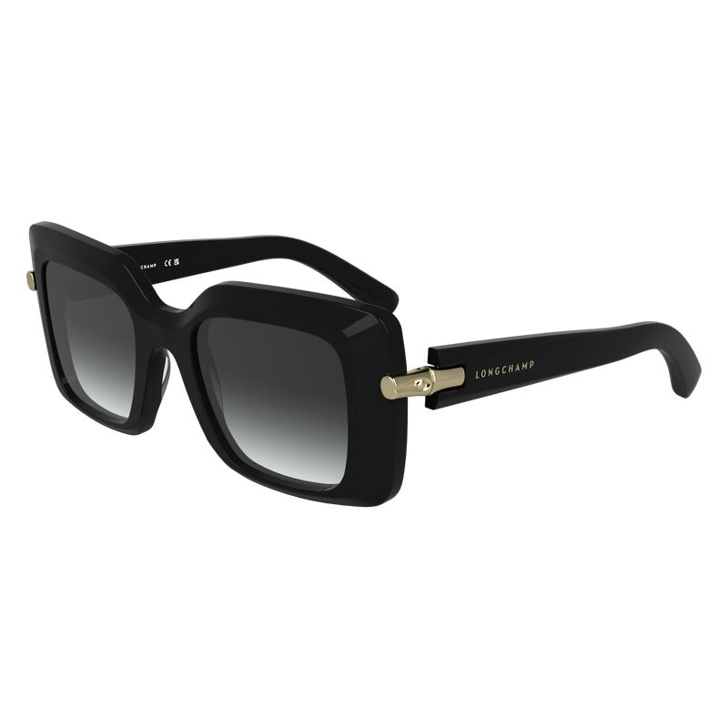 Black Longchamp Acetate Women Sunglasses | US-925DAZTHE