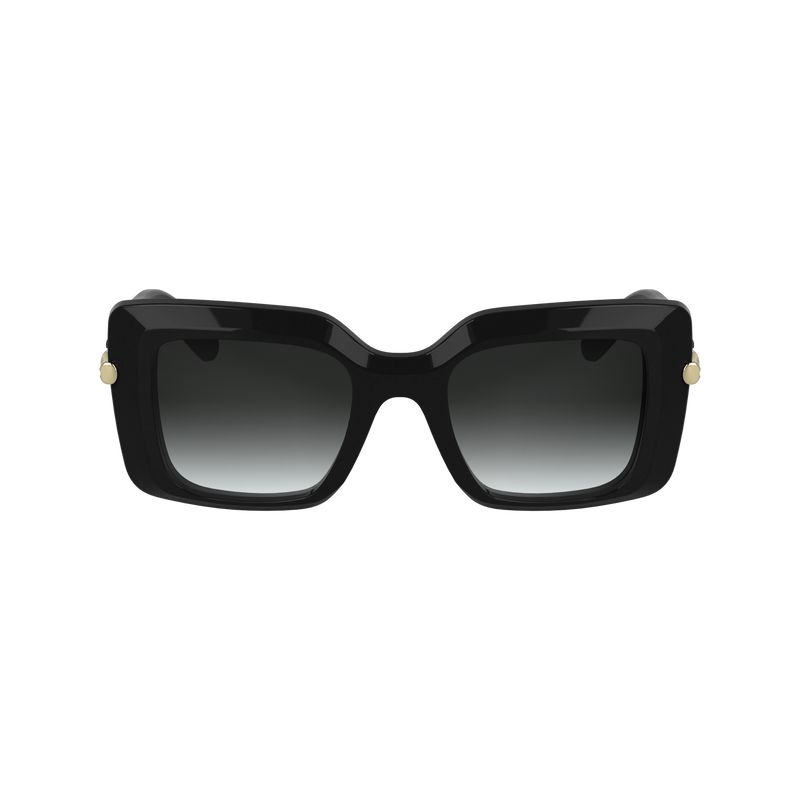 Black Longchamp Acetate Women Sunglasses | US-925DAZTHE