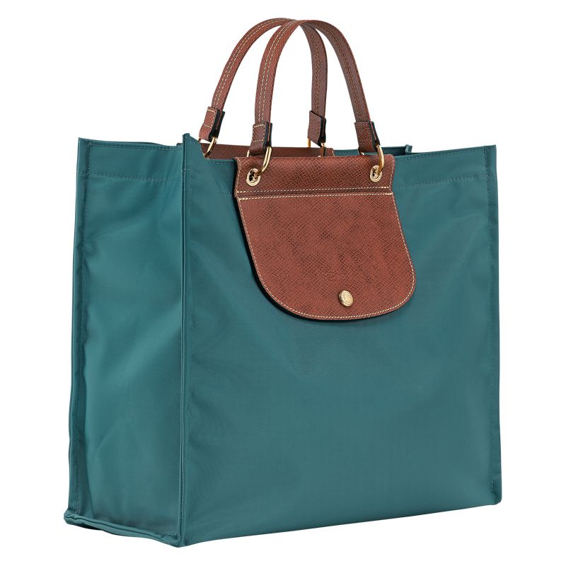 Blue Green Longchamp Cabas L Women Tote Bag | US-190OGLVQZ