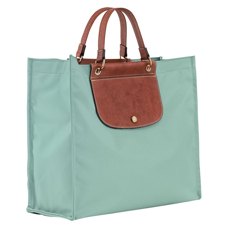 Blue Green Longchamp Cabas L Women Tote Bag | US-613CUOXSD