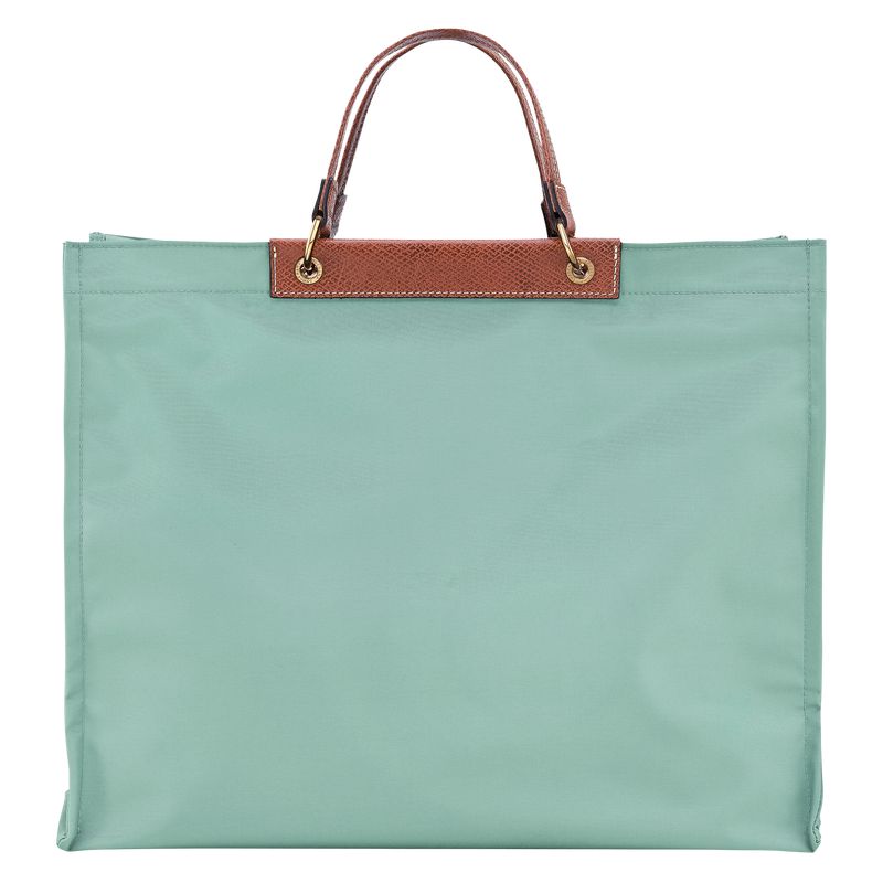 Blue Green Longchamp Cabas L Women Tote Bag | US-613CUOXSD