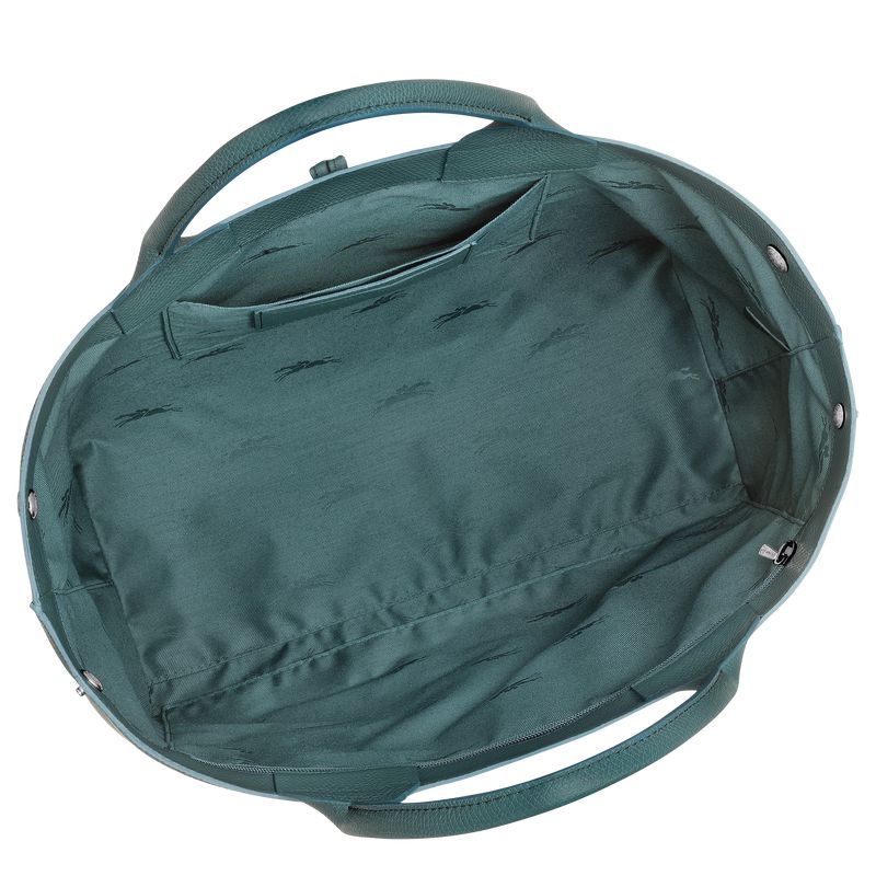 Blue Green Longchamp Le Roseau L Women Handbag | US-817IUNXDQ