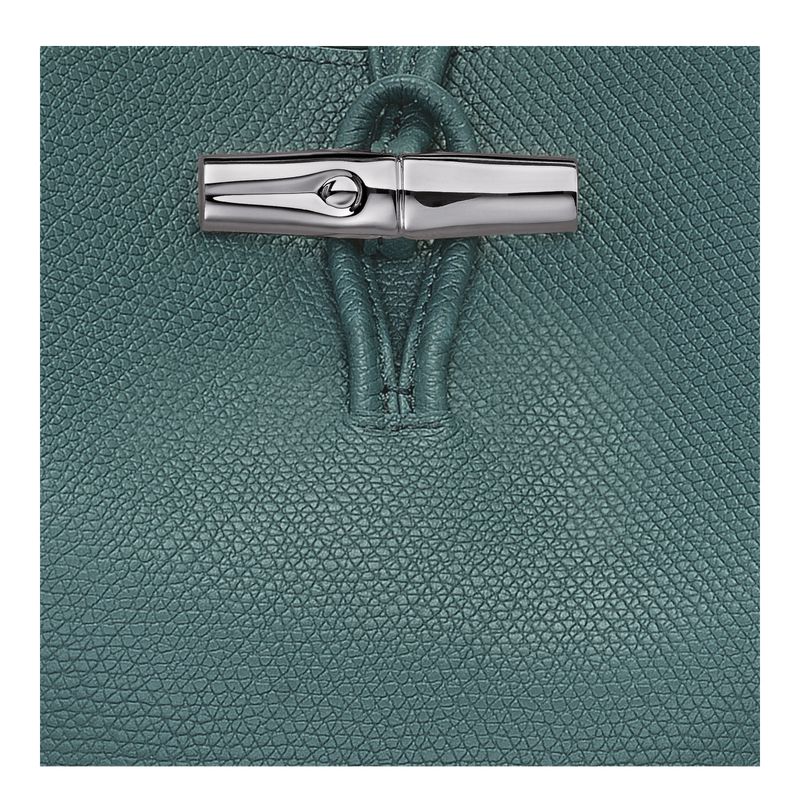 Blue Green Longchamp Le Roseau M Women Shoulder Bag | US-492ARBYEG