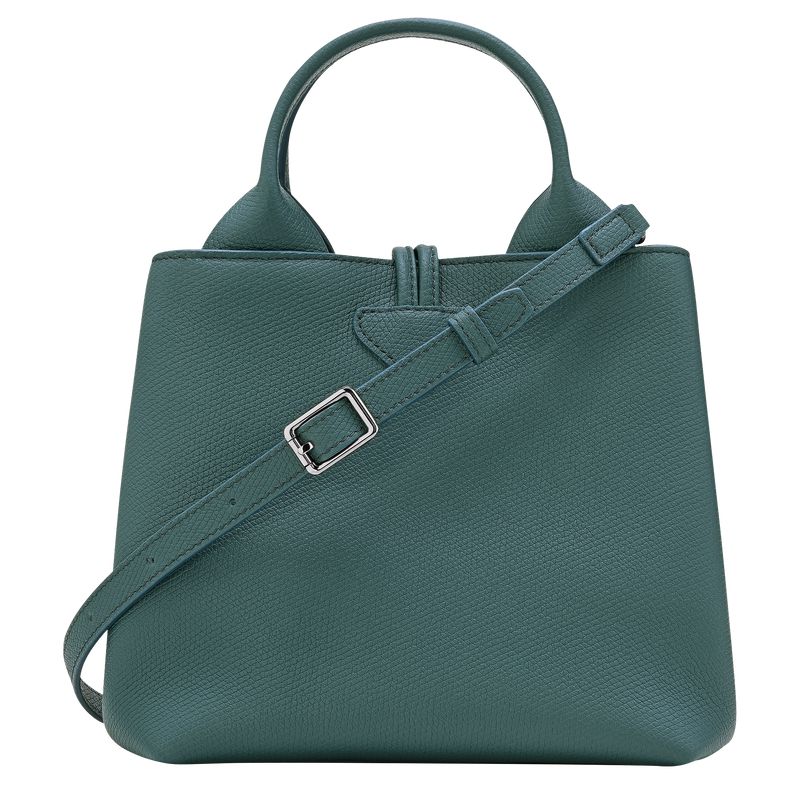 Blue Green Longchamp Le Roseau S Women Handbag | US-912IAVORD