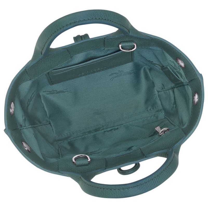 Blue Green Longchamp Le Roseau Xs Women Handbag | US-254BLTDOE