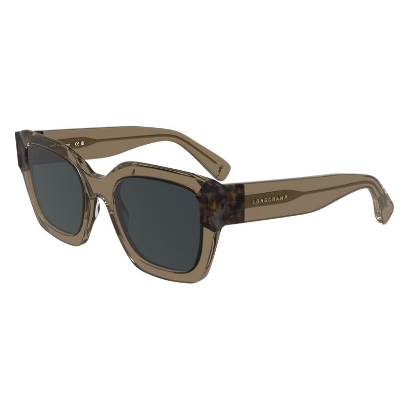 Brown Longchamp Acetate Women Sunglasses | US-162XKMOFT