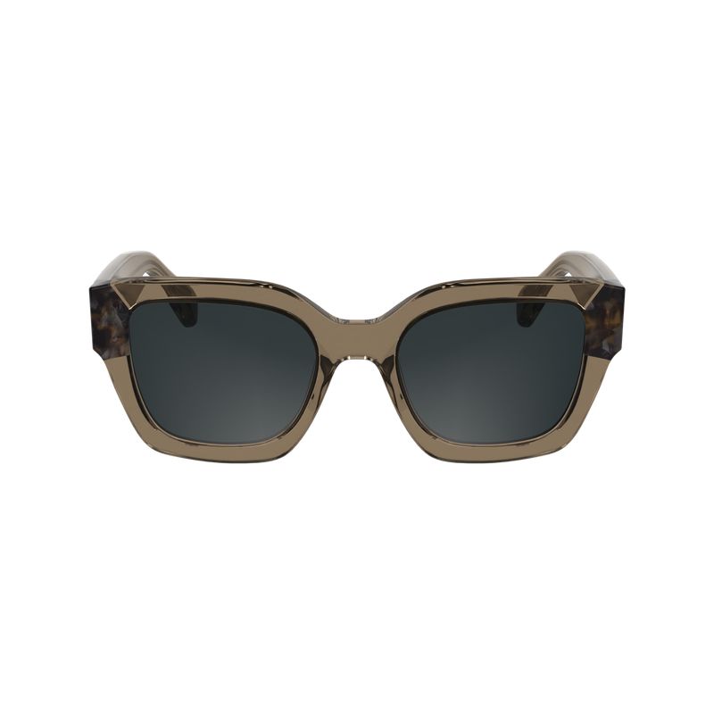 Brown Longchamp Acetate Women Sunglasses | US-162XKMOFT