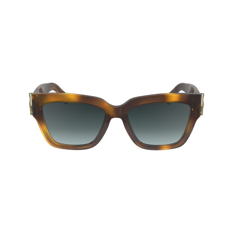 Brown Longchamp Fall-winter 2023 Collection Women Sunglasses | US-429TSZOWL