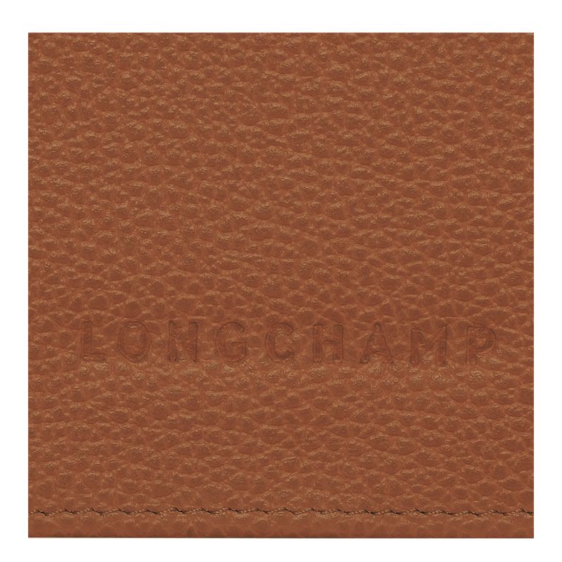 Brown Longchamp Le Foulonné Continental Women Wallet | US-842OYPJAN