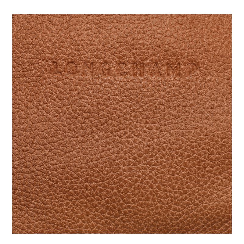 Brown Longchamp Le Foulonné M Men Belt Bag | US-623VTSRZW