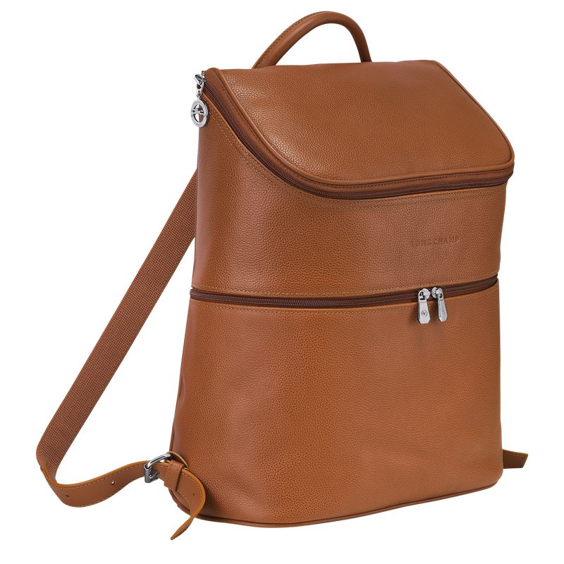 Brown Longchamp Le Foulonné Men Backpack | US-892JEKPGI