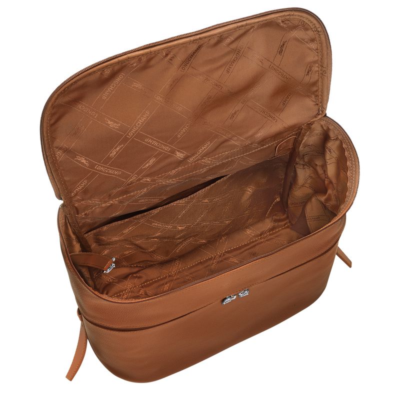 Brown Longchamp Le Foulonné Men Backpack | US-892JEKPGI