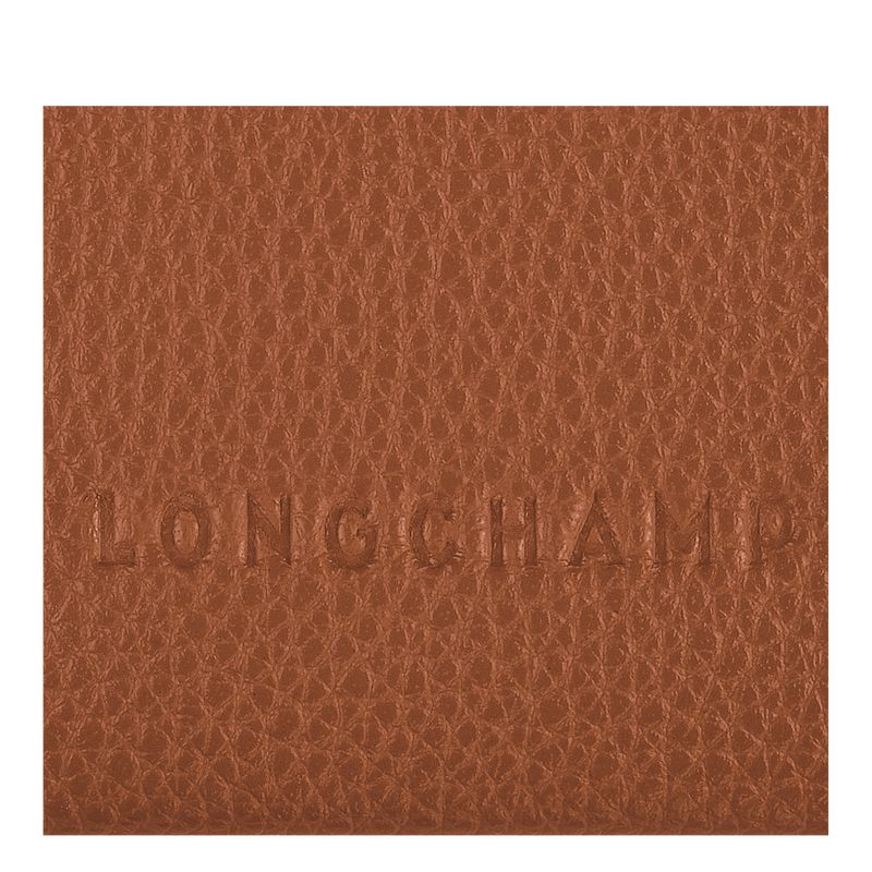 Brown Longchamp Le Foulonné Men Card Holder | US-206LDATFG