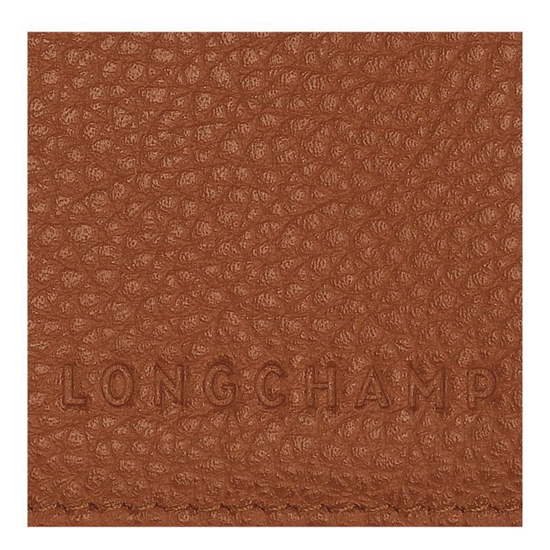 Brown Longchamp Le Foulonné Men Passport Holder | US-349MRPIAC