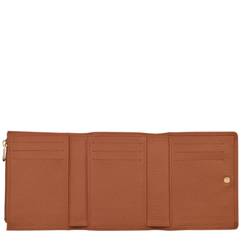 Brown Longchamp Le Foulonné Men Wallet | US-417JXZCTH