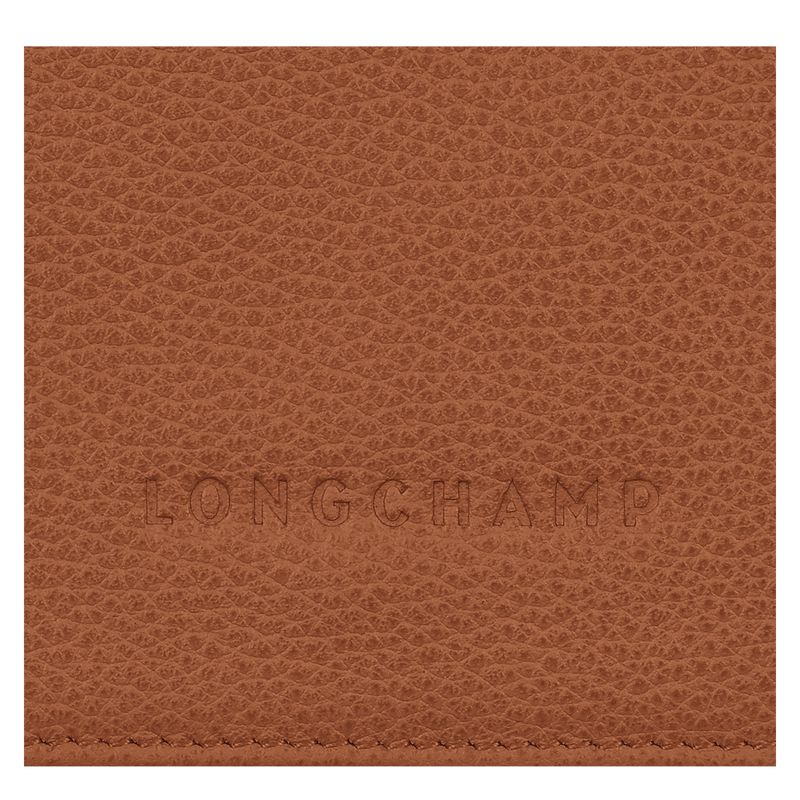 Brown Longchamp Le Foulonné Men Wallet | US-417JXZCTH
