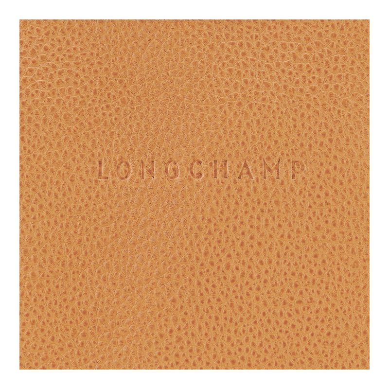 Brown Longchamp Le Foulonné S Women Crossbody Bag | US-348UGHOZT