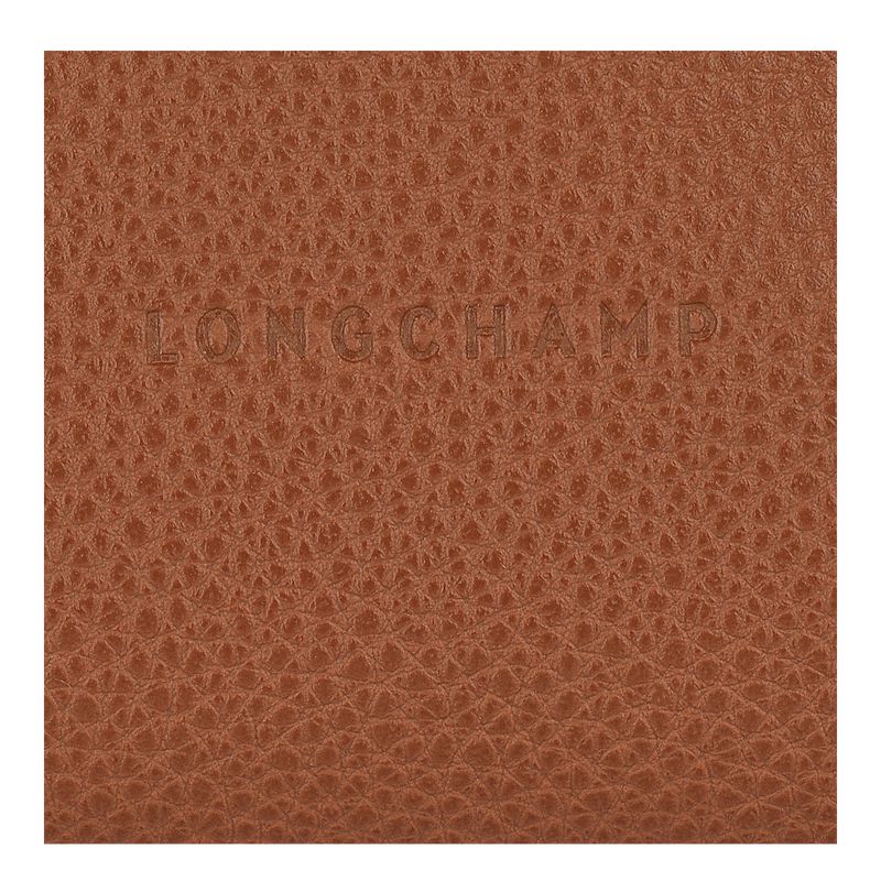 Brown Longchamp Le Foulonné Women Coin Purse | US-463VGNHXT
