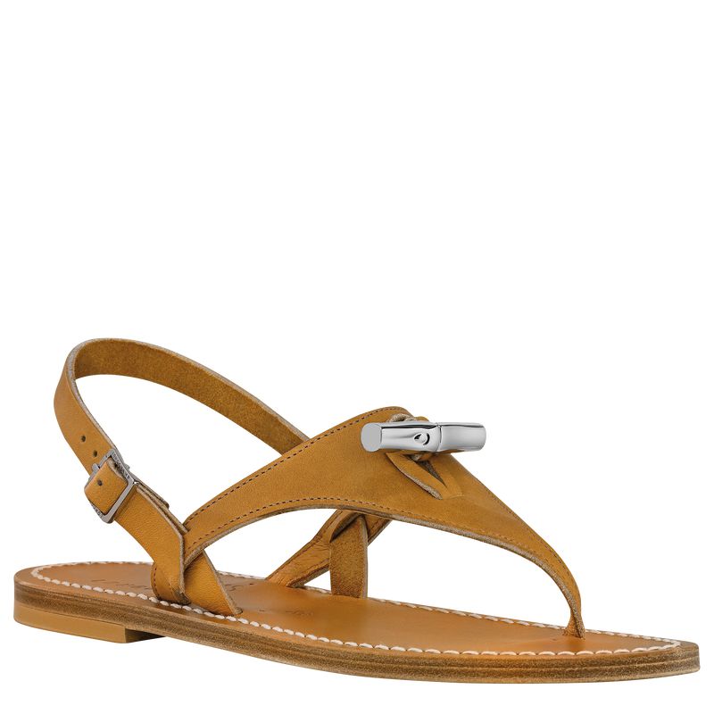 Brown Longchamp X K.Jacques Women Sandals | US-425URIWDJ