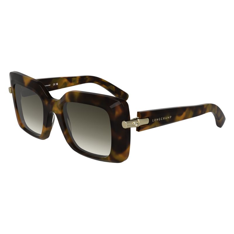 Brown / Green Longchamp Acetate Women Sunglasses | US-563MXILTA