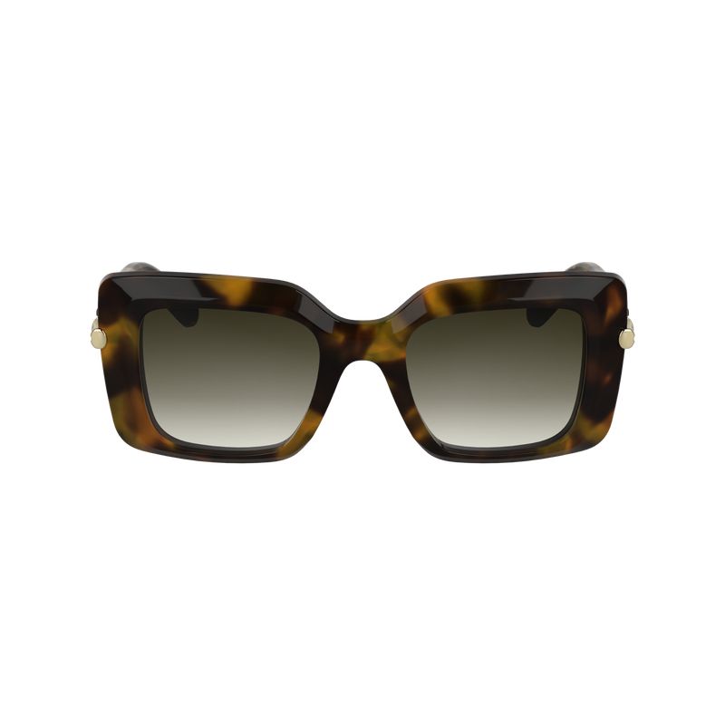Brown / Green Longchamp Acetate Women Sunglasses | US-563MXILTA