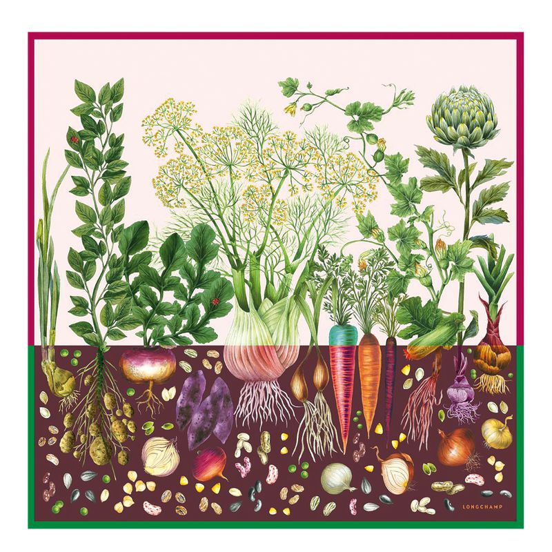 Multicolor Longchamp Beyond The Garden 90 Women Scarf | US-024VPWHEL