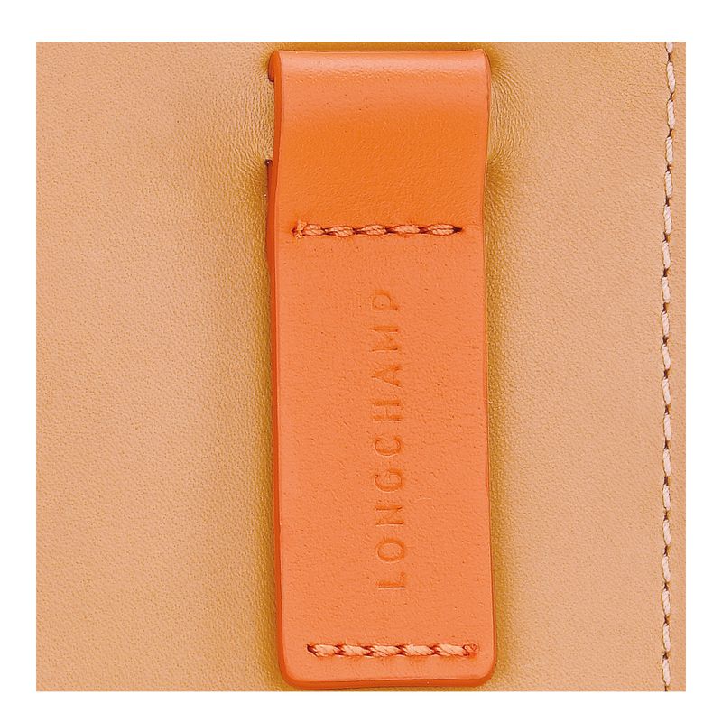 Orange Longchamp Le Foulonné Women Pouch | US-421NZXAVF