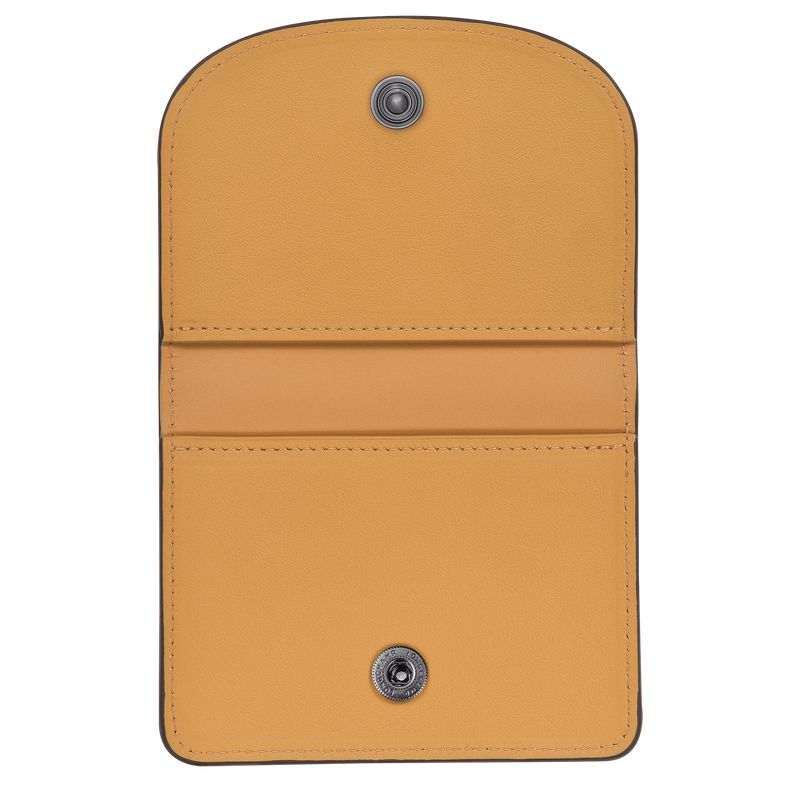 Orange Longchamp Le Pliage Xtra Women Card Holder | US-839LVDGKX