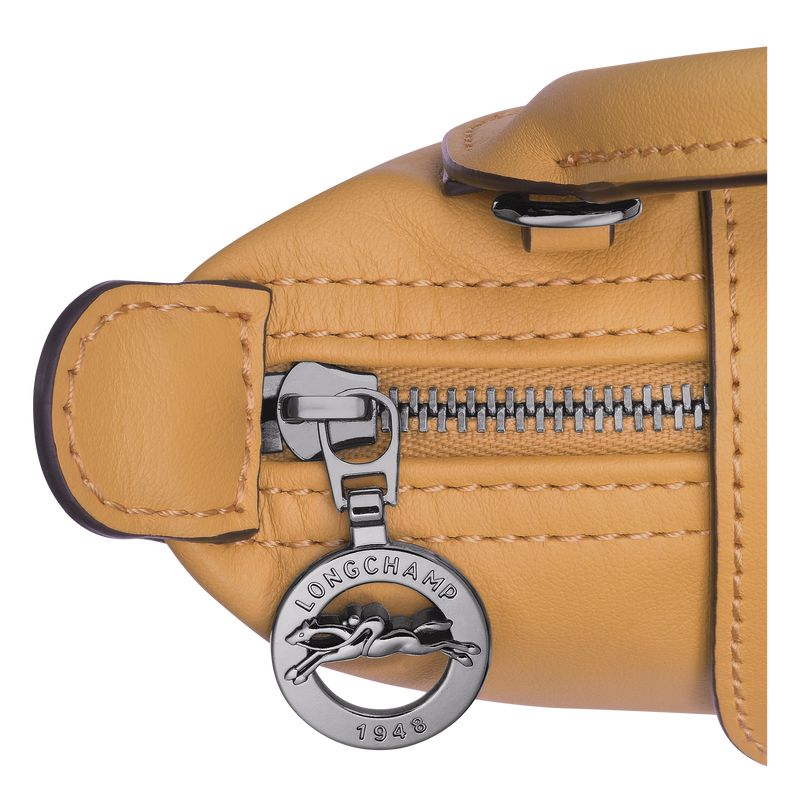Orange Longchamp Le Pliage Xtra Xs Women Pouch | US-250QLRYTU